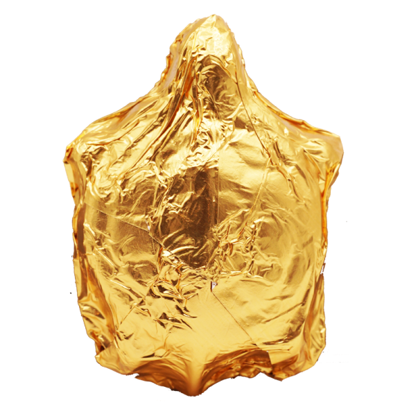 Golden Turtle Chocolate Mushroom 2 Gram Size