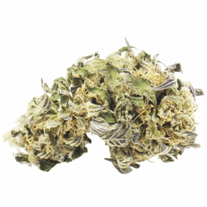 Purple Kush Organic strain