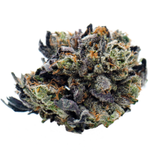 Bluefin Tuna Strain Sunshine Coast BC