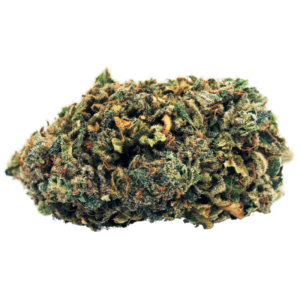 blueberry kush strain